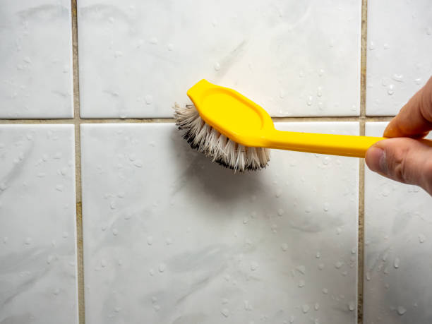Best Affordable Mold Removal  in Buena Vista, GA
