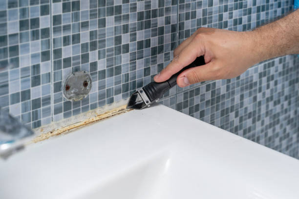Best Professional Mold Removal  in Buena Vista, GA