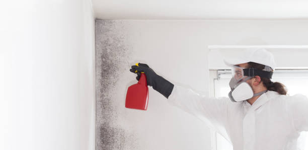Water Damage Restoration in Buena Vista, GA