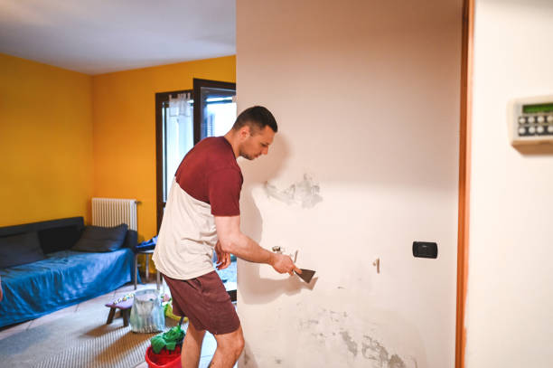 Best Residential Mold Removal  in Buena Vista, GA